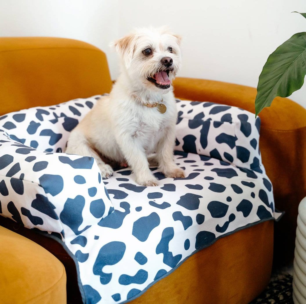 Orders diy dog bed sewing